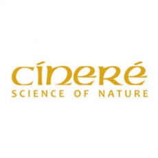 سینره Cinere