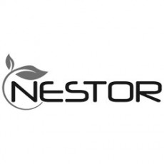 نستور Nestor